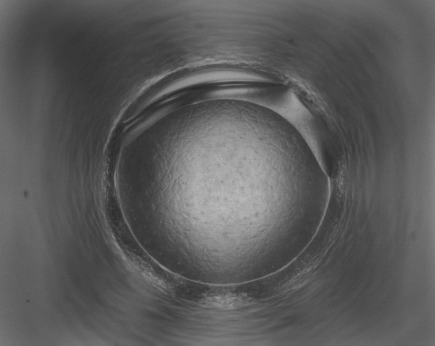 X0000084040540200702232327