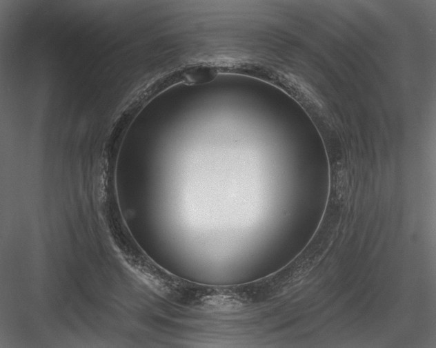 X0000084040544200702232327