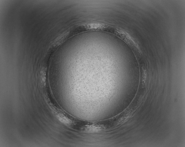X0000084040545200702232327