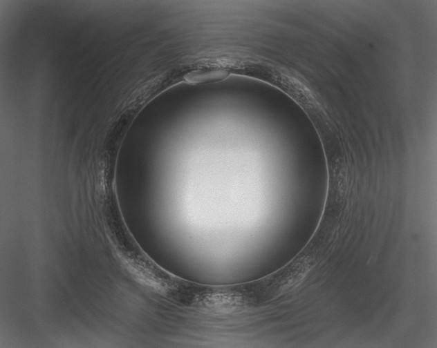 X0000084040546200702232327