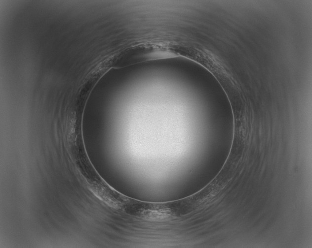 X0000084040548200702232327
