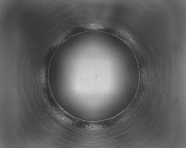 X0000084040549200702232328