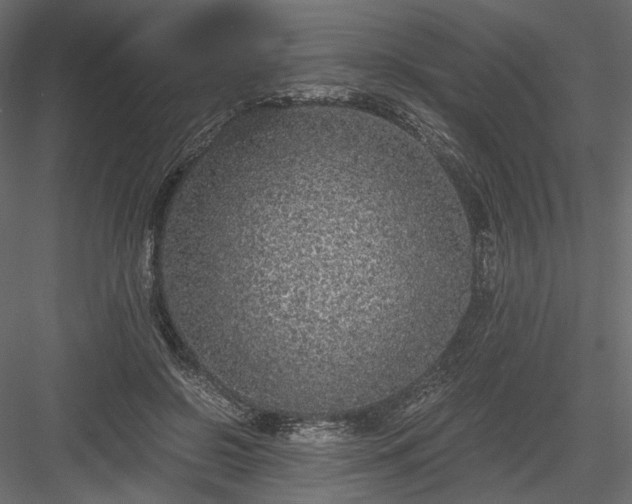 X0000084040550200702232328