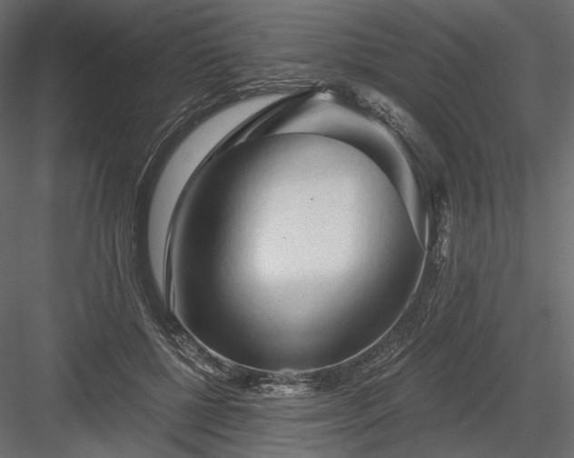 X0000084040552200702232328