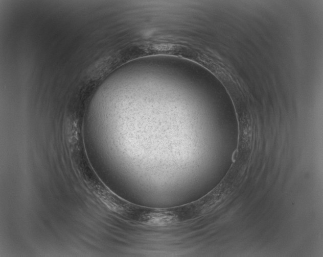 X0000084040555200702232328