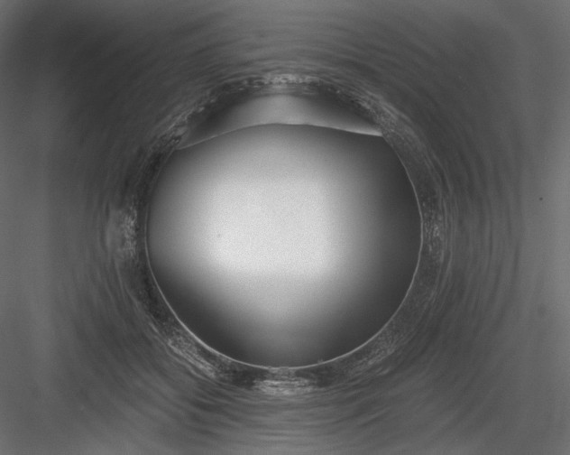 X0000084040556200702232328