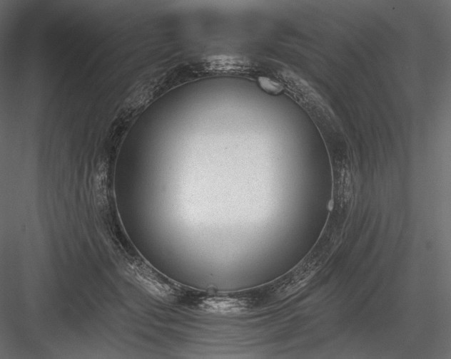X0000084040557200702232328