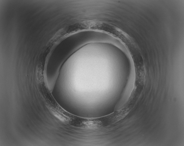 X0000084040558200702232328