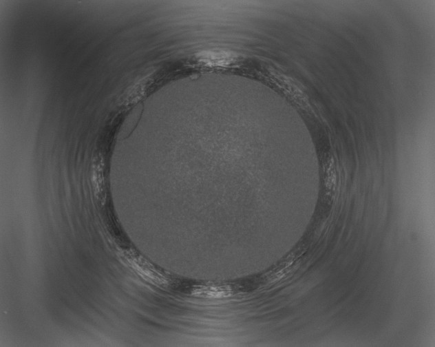 X0000084040559200702232328