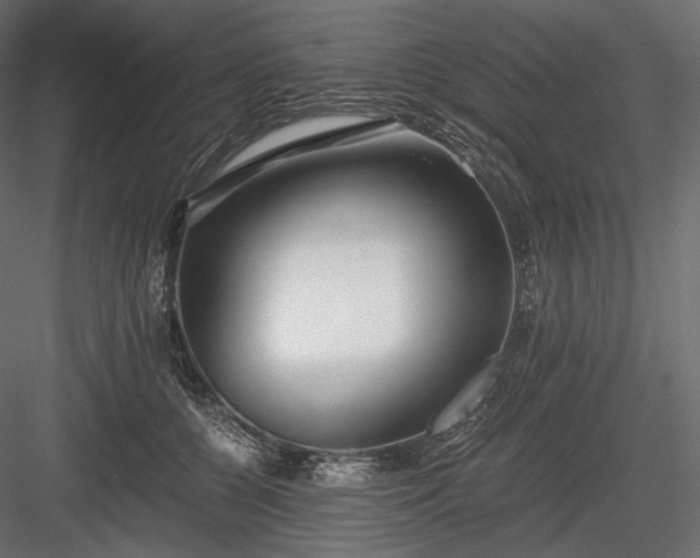 X0000084040560200702232328