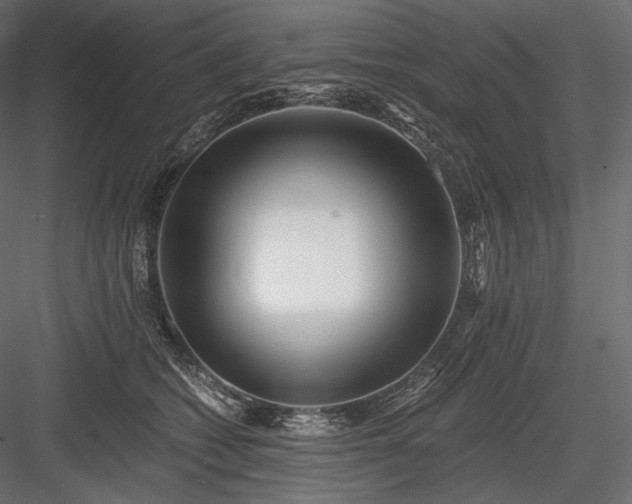 X0000084040562200702232328
