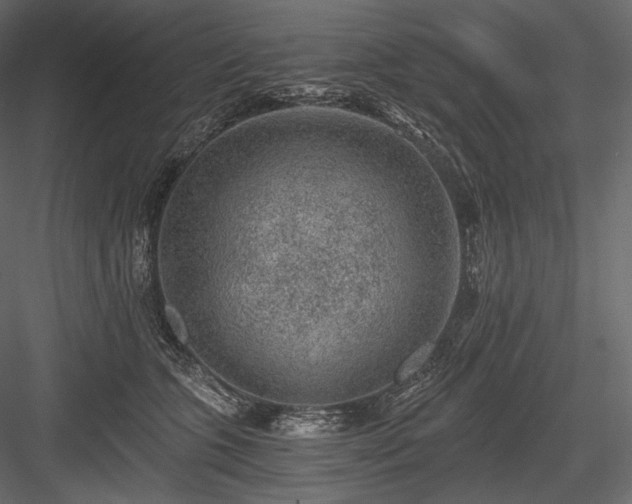 X0000084040563200702232328