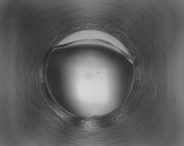 X0000084040564200702232328