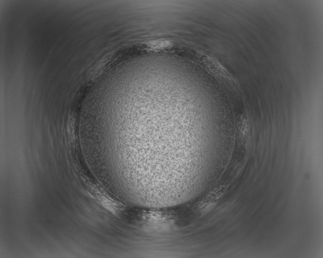 X0000084040565200702232328