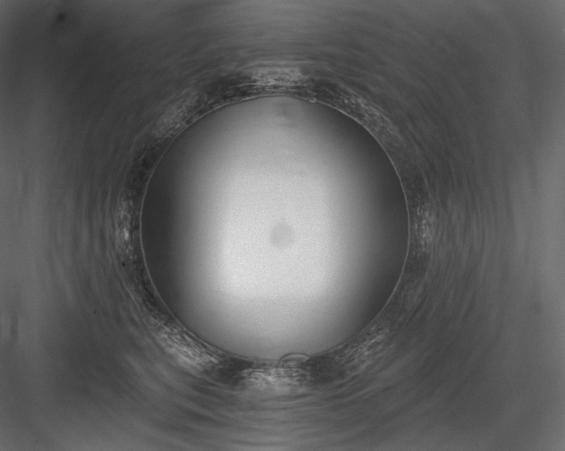 X0000084040567200702232328