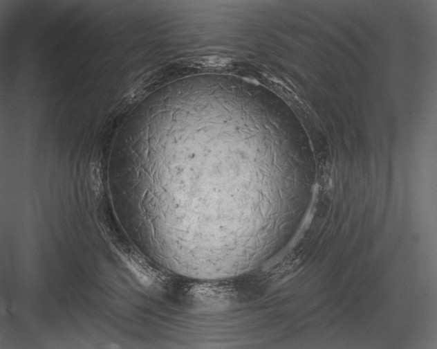 X0000084040568200702232328