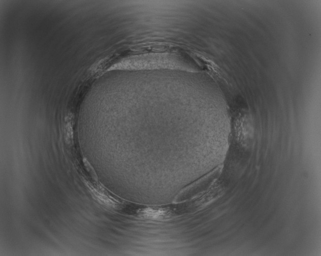 X0000084040570200702232328