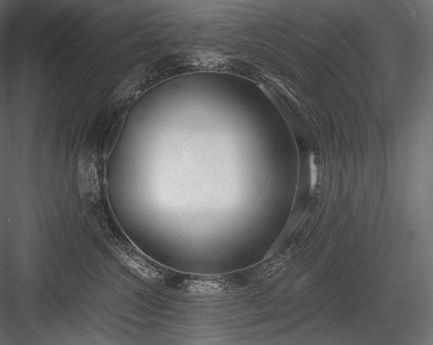 X0000084040572200702232328