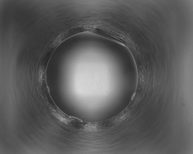 X0000084040574200702232328