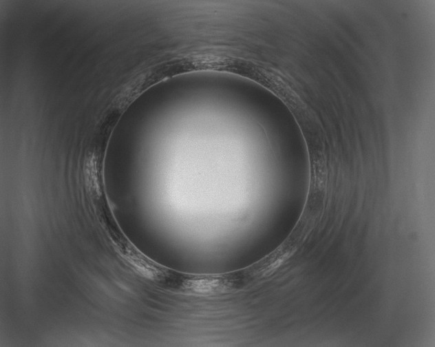 X0000084040575200702232328