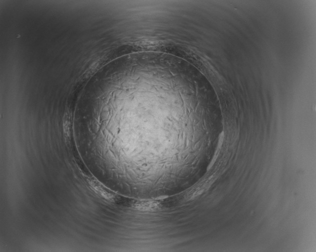 X0000084040576200702232328