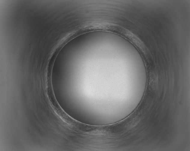 X0000084040578200702232327