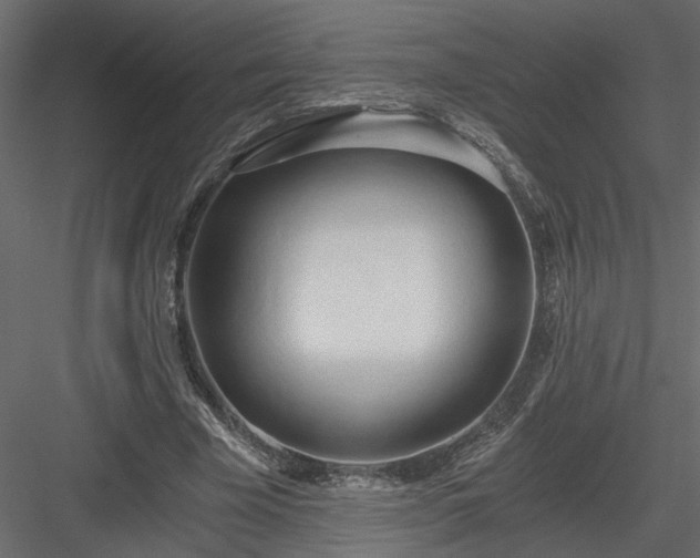 X0000084040585200702232327