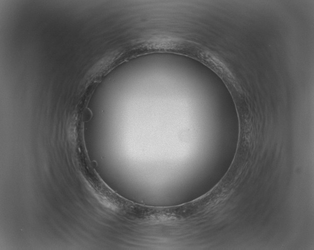 X0000084040586200702232327