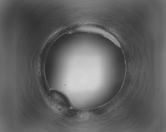 X0000084040587200702232327