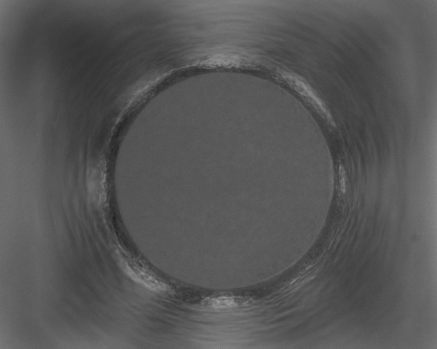 X0000084040588200702232327