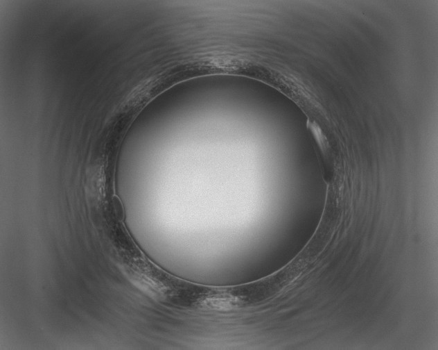 X0000084040595200702232327