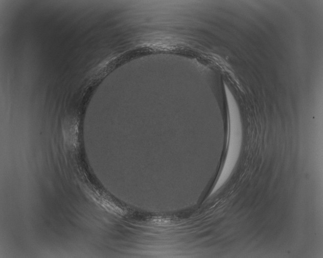X0000084040596200702232327