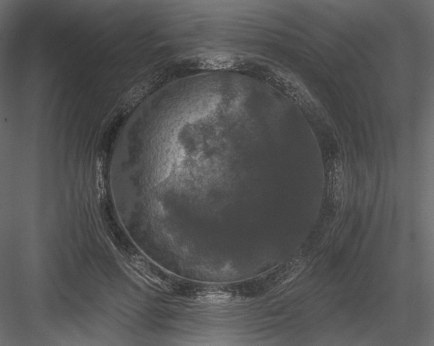 X0000084040598200702232327