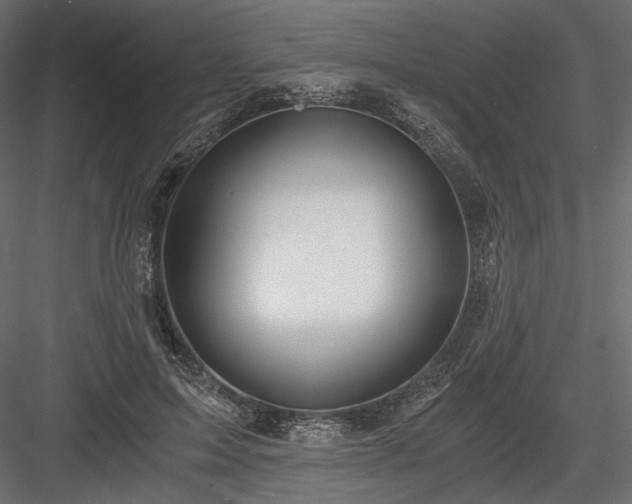 X0000084040599200702232327