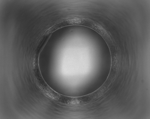 X0000084040600200702232327