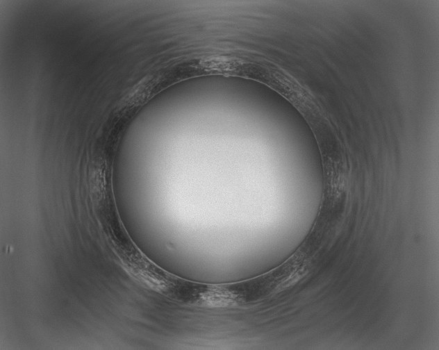 X0000084040603200702232327