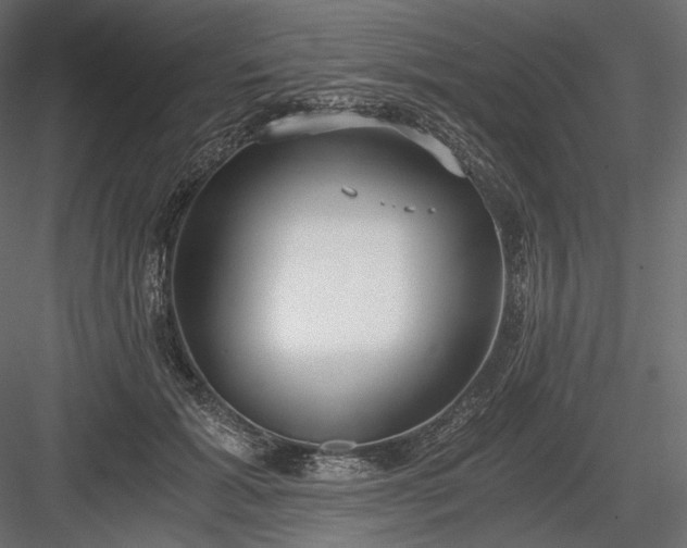 X0000084040605200702232327