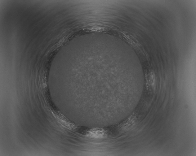 X0000084040606200702232327