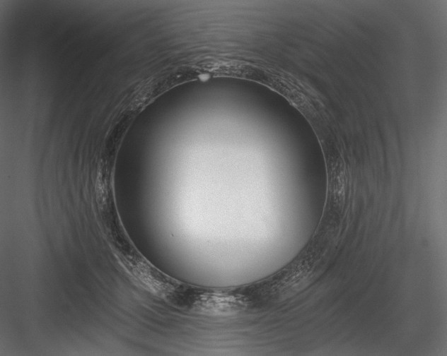 X0000084040607200702232327