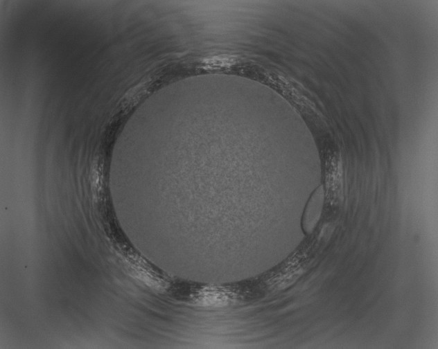 X0000084040608200702232327
