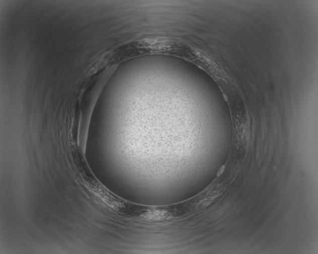 X0000084040609200702232327