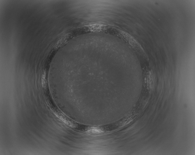 X0000084040610200702232327