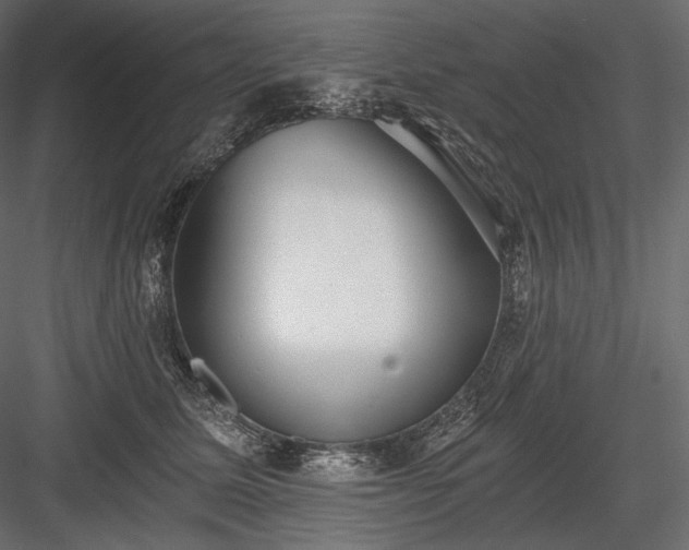 X0000084040611200702232327