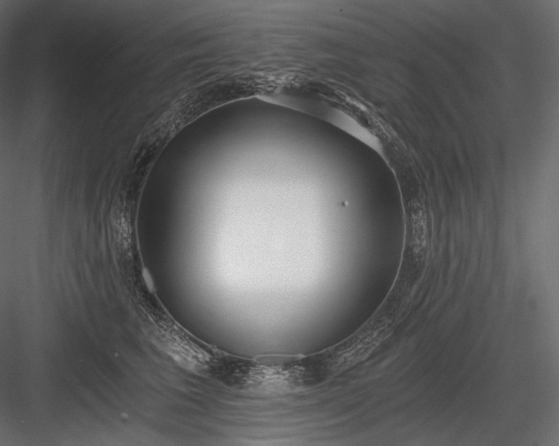 X0000084040613200702232327