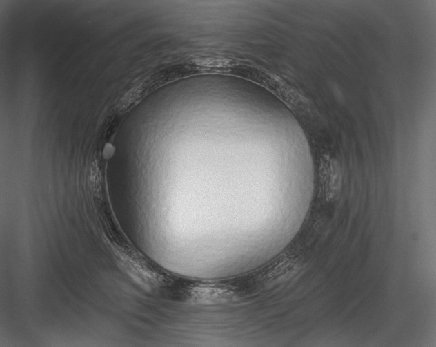 X0000084040614200702232327