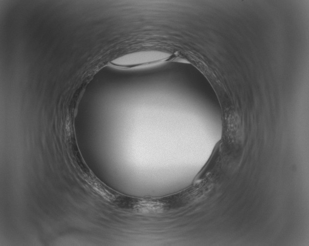 X0000084040617200702232326