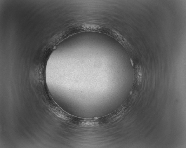 X0000084040619200702232326