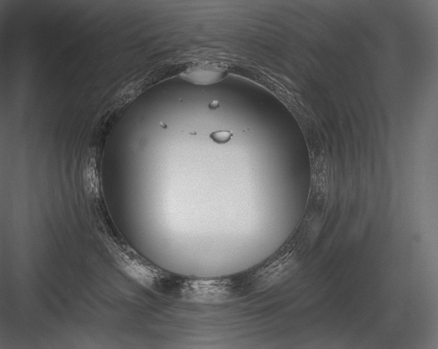 X0000084040622200702232326