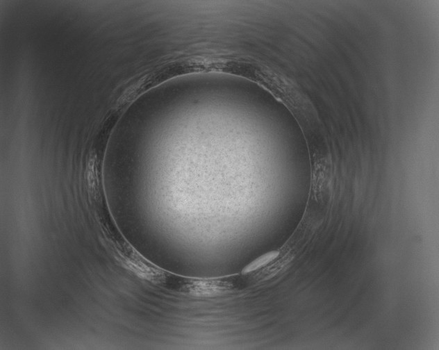 X0000084040623200702232326