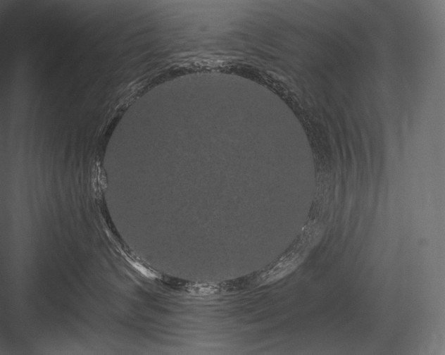 X0000084040624200702232326
